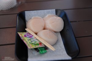 20170106085025_NIKON D200.jpg